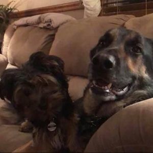 Meet your Posher, Kelly